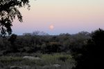 moonrise at the end of another Kruger day