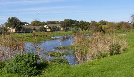 liesbeeck river