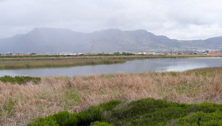 rondevlei nature reserve