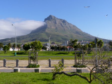 tablemountain