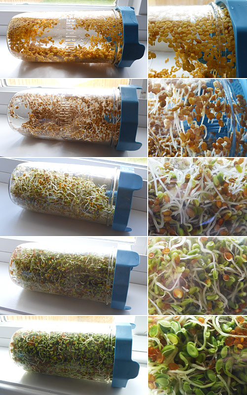 How to Fix Uneven Stuffing: The Pinch-and-Push Method – PlanetJune by June  Gilbank: Blog