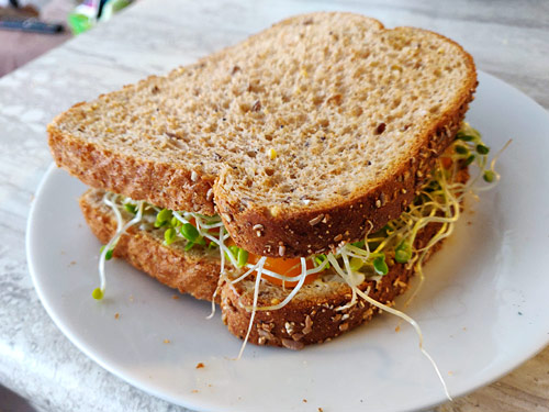 a sandwich made with home-grown clover sprouts