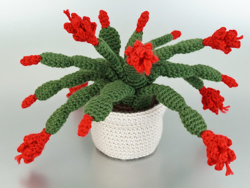 Christmas Cactus crochet pattern by PlanetJune