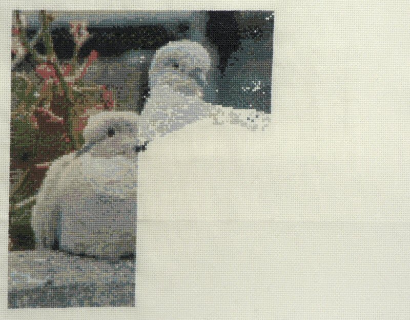 cross stitch doves (in progress)