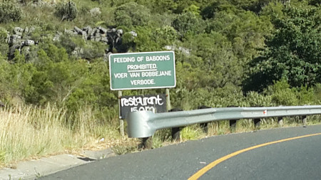 feeding of baboons prohibited