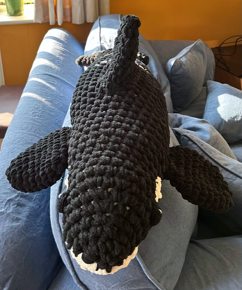 PlanetJune Stories: Ann's Giant Orca