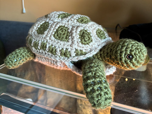 Anna's Tortoise Door Stopper, made from the PlanetJune Tortoise crochet pattern