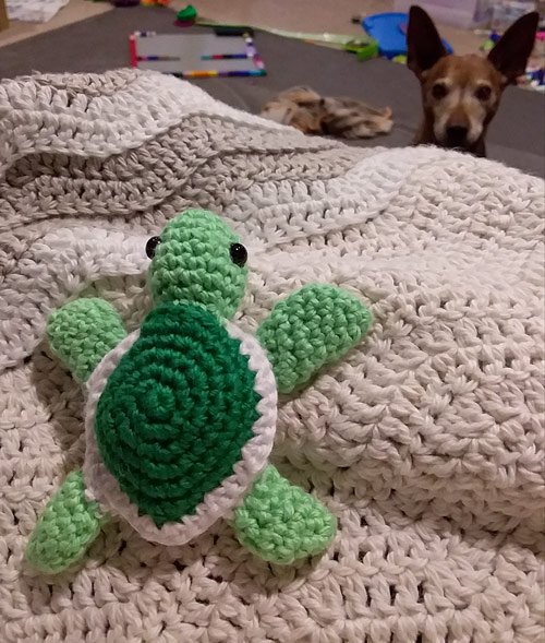 PlanetJune Stories: Belinda's Toasty Turtle and Blanket