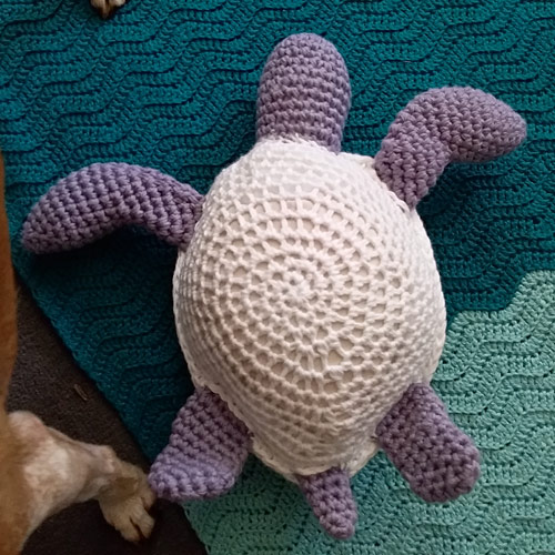 PlanetJune Stories: Belinda's Toasty Turtle and Blanket