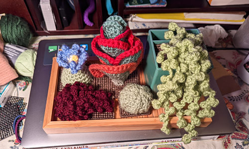 PlanetJune Stories: Diane's Modular Crocheted Succulent Arrangements