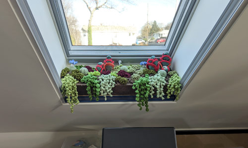 PlanetJune Stories: Diane's Modular Crocheted Succulent Arrangements