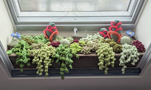 PlanetJune Stories: Diane's Modular Crocheted Succulent Arrangements