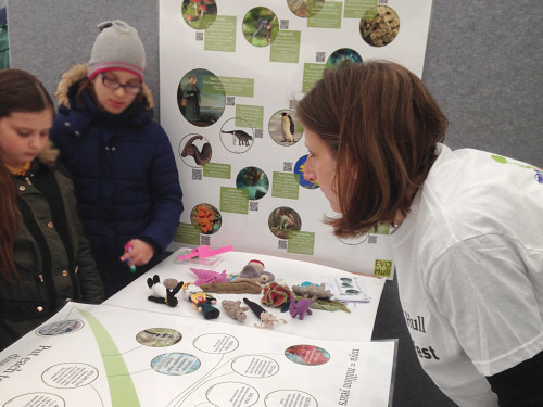 history of life interactive crocheted exhibit