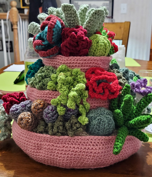 PlanetJune Stories: Susan's Tiered Succulent Display