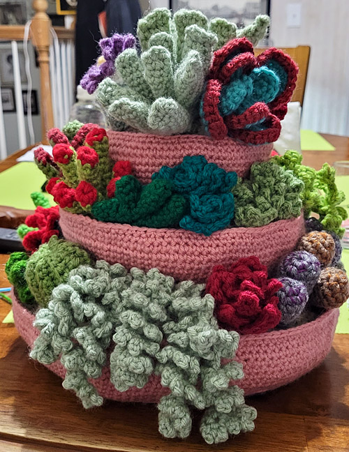 PlanetJune Stories: Susan's Tiered Succulent Display