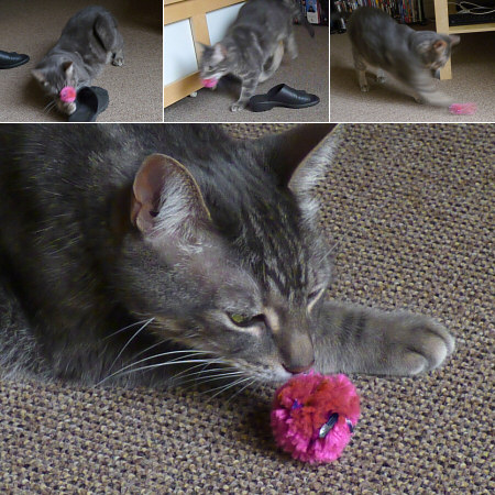 crinkle ball cat toy tutorial by planetjune