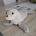 Customer photo