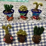 Customer photo