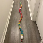 Customer photo