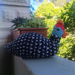 Customer photo