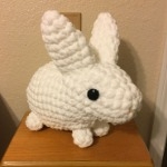 Customer photo