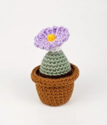 Succulent Collection 3: FOUR realistic crochet patterns