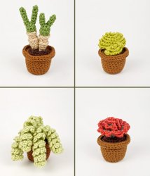 Succulent Collection 4: FOUR realistic crochet patterns