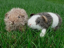 Fuzzy Guinea Pig amigurumi crochet pattern