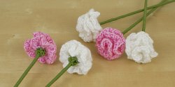 Carnations DONATIONWARE flower crochet pattern