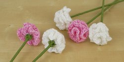 (image for) Carnations DONATIONWARE flower crochet pattern