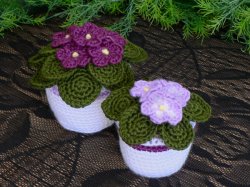 (image for) African Violets crochet pattern