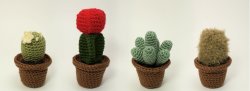 (image for) Cactus Collection 1: FOUR realistic crochet patterns