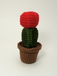 Cactus Collection 1: FOUR realistic crochet patterns