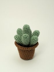 Cactus Collection 1: FOUR realistic crochet patterns