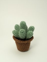 Cactus Collection 1: FOUR realistic crochet patterns