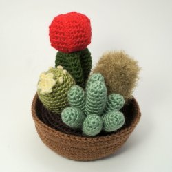 (image for) Cactus Collection 1: FOUR realistic crochet patterns