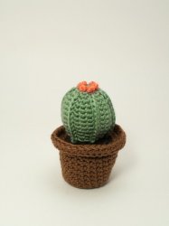 Cactus Collection 2: FOUR realistic crochet patterns