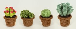 (image for) Succulent Collection 1: FOUR realistic crochet patterns