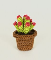 (image for) Succulent Collection 1: FOUR realistic crochet patterns