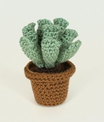 (image for) Succulent Collection 1: FOUR realistic crochet patterns