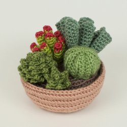 Succulent Collection 1: FOUR realistic crochet patterns