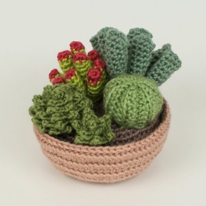 (image for) Succulent Collection 1: FOUR realistic crochet patterns