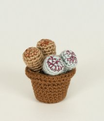 Succulent Collection 2: FOUR realistic crochet patterns