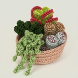 (image for) Succulent Collection 2: FOUR realistic crochet patterns