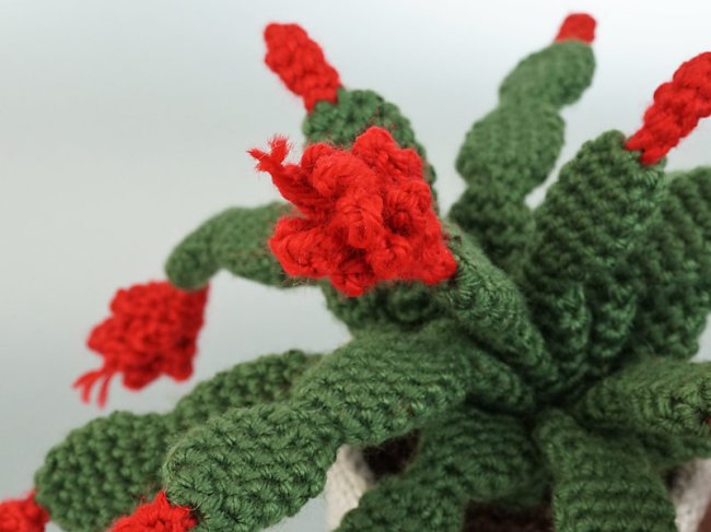 (image for) Christmas Cactus crochet pattern - Click Image to Close