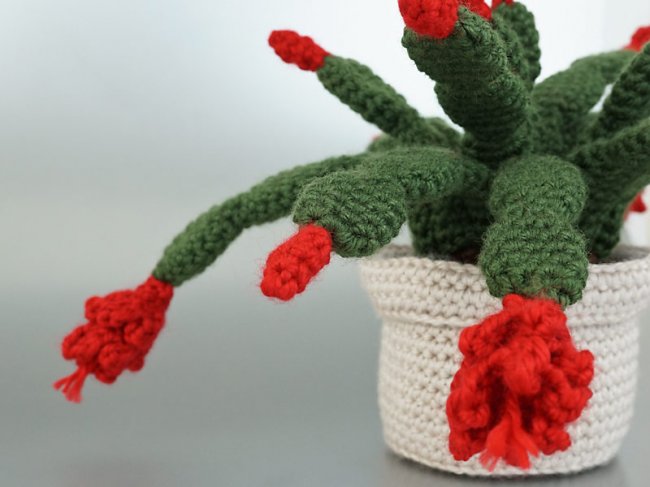(image for) Christmas Cactus crochet pattern - Click Image to Close