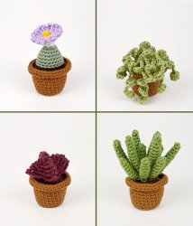 Succulent Collection 3: FOUR realistic crochet patterns