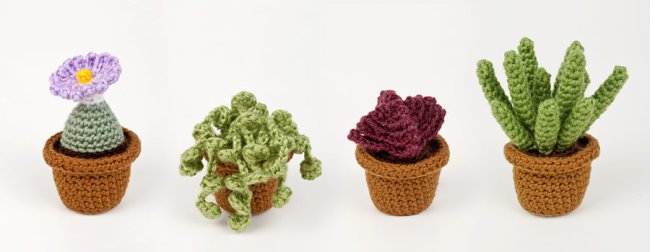 (image for) Succulent Collection 3: FOUR realistic crochet patterns - Click Image to Close