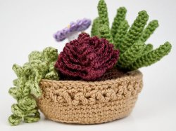 (image for) Succulent Collection 3: FOUR realistic crochet patterns