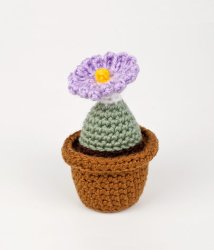 (image for) Succulent Collection 3: FOUR realistic crochet patterns